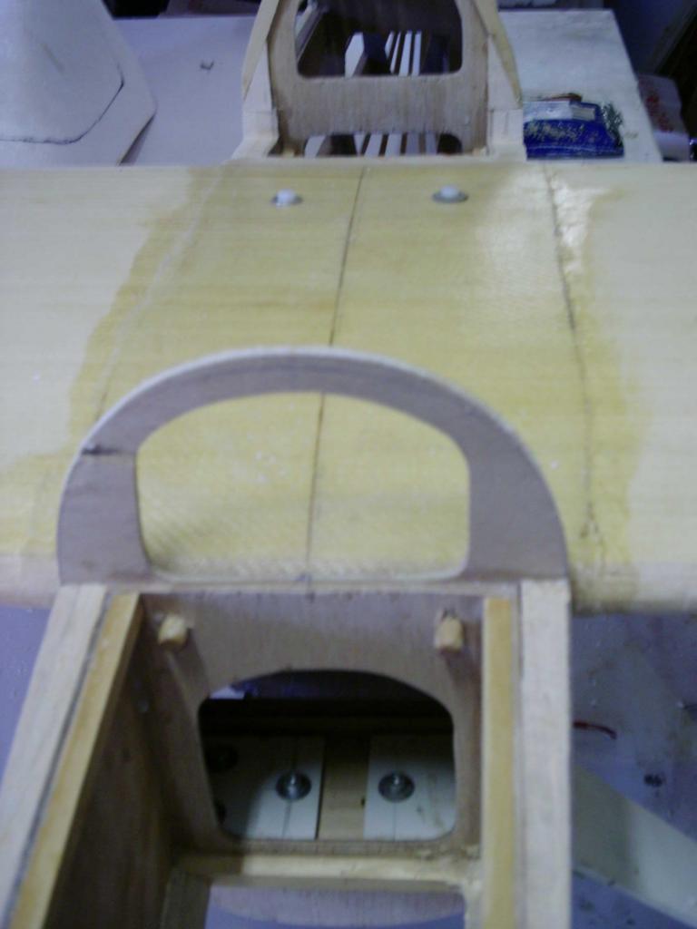 cassutt  tétons d'ailes