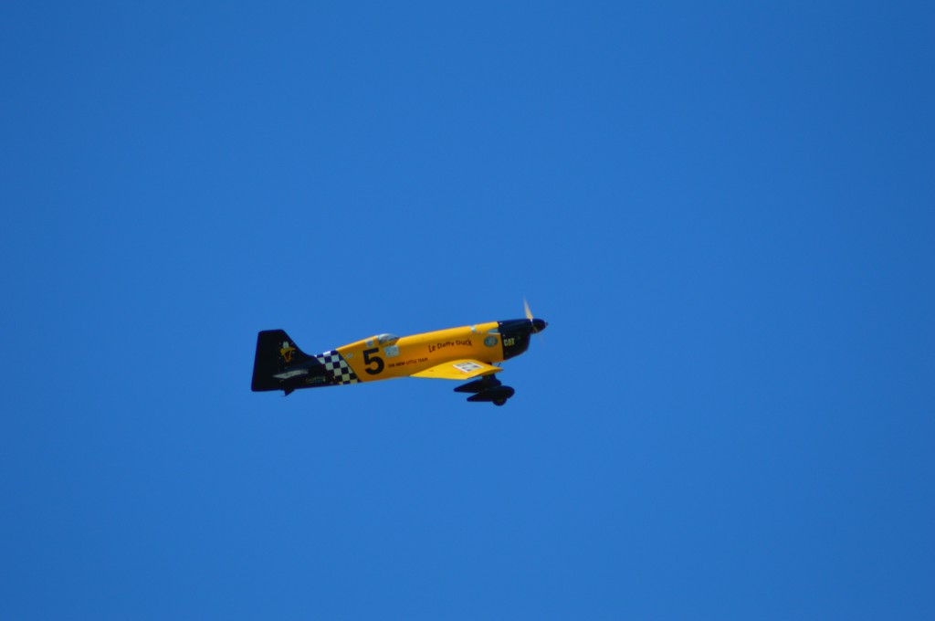 Le New little d'alain Ronk