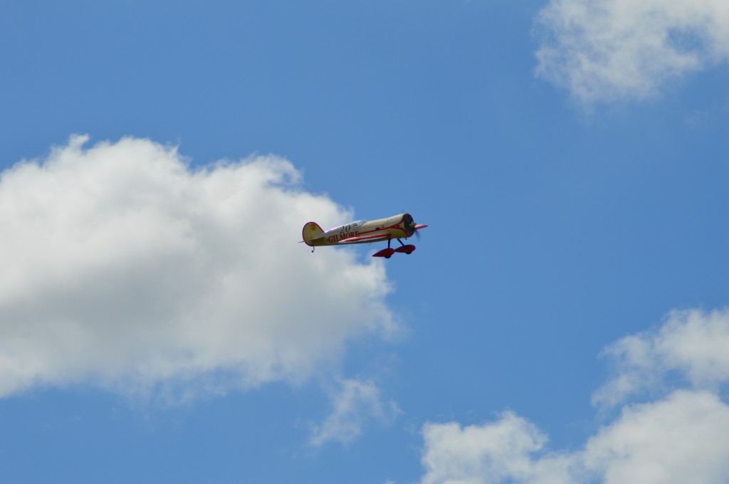 Le Wedell Williams  N°20 de Jean Fabien