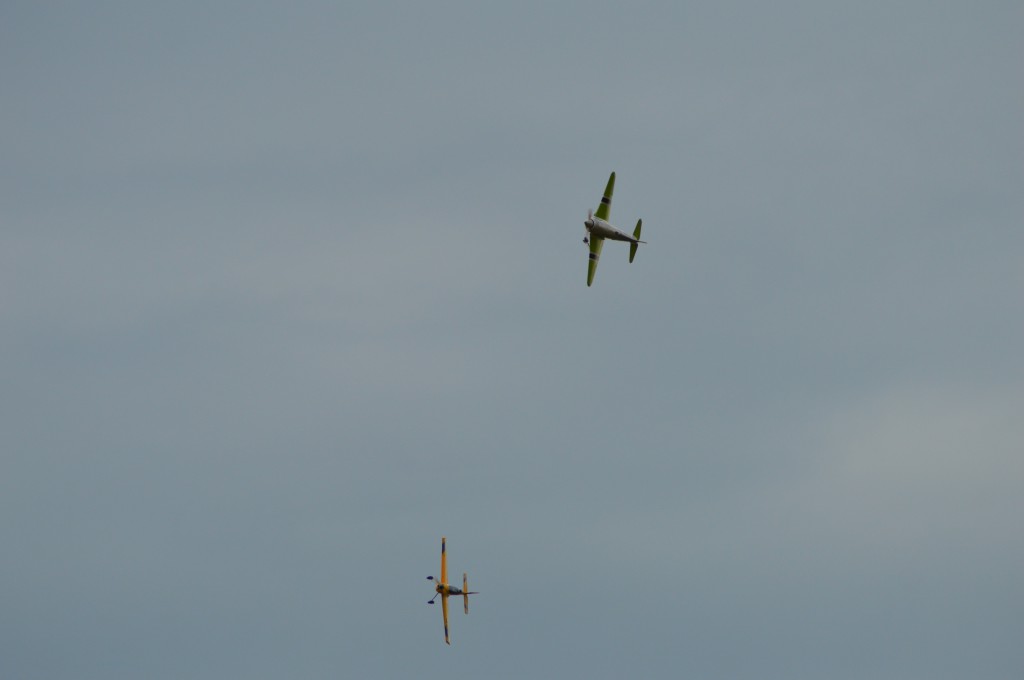 Aile dans aile pour ces deux là