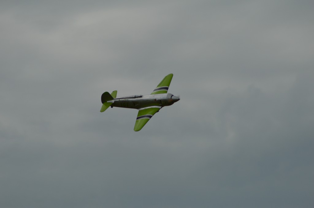 superbe  ligne ce Yak