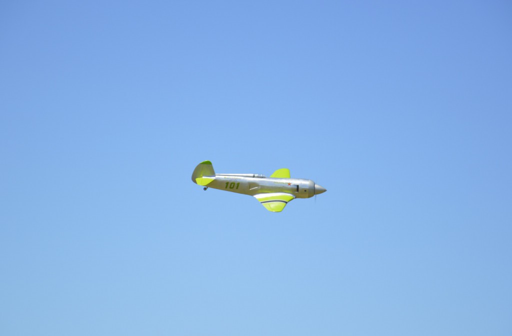 Magnifique ligne pour le Yak