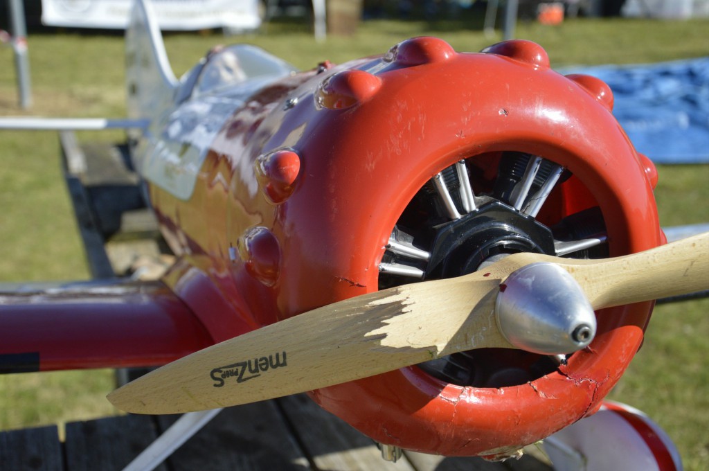 Gee Bee Y de serge Défié