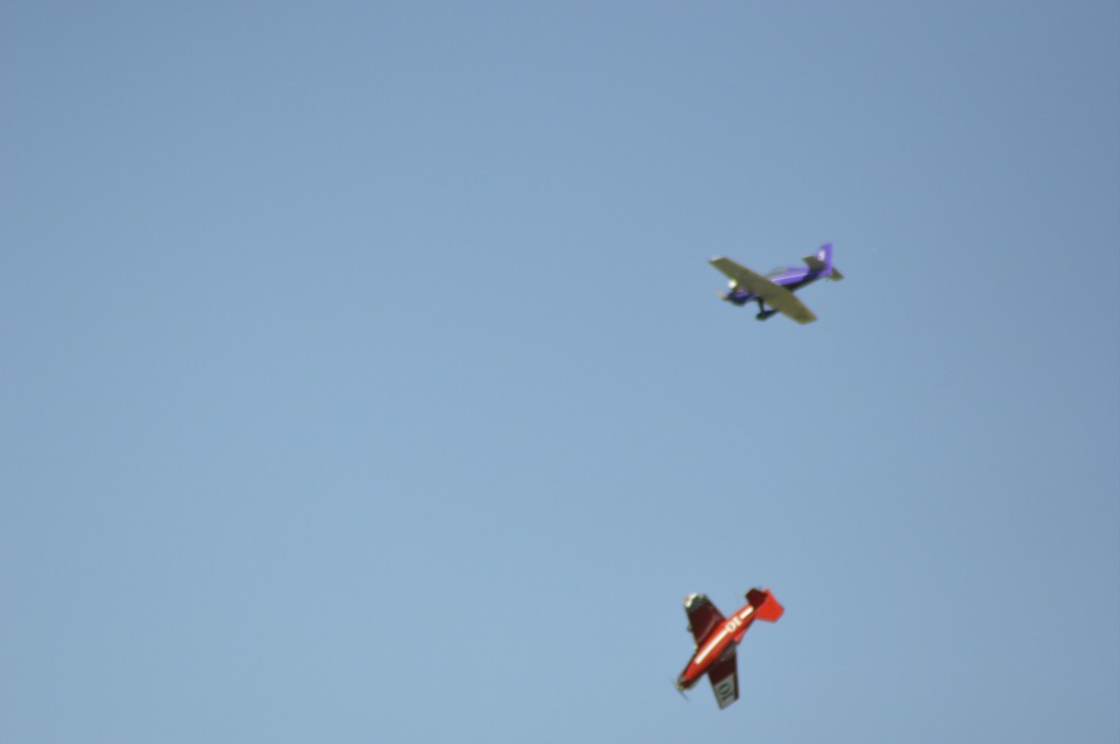  ( Arrivé cette Année ) - 1ère percussion en vol depuis 11ans .. 