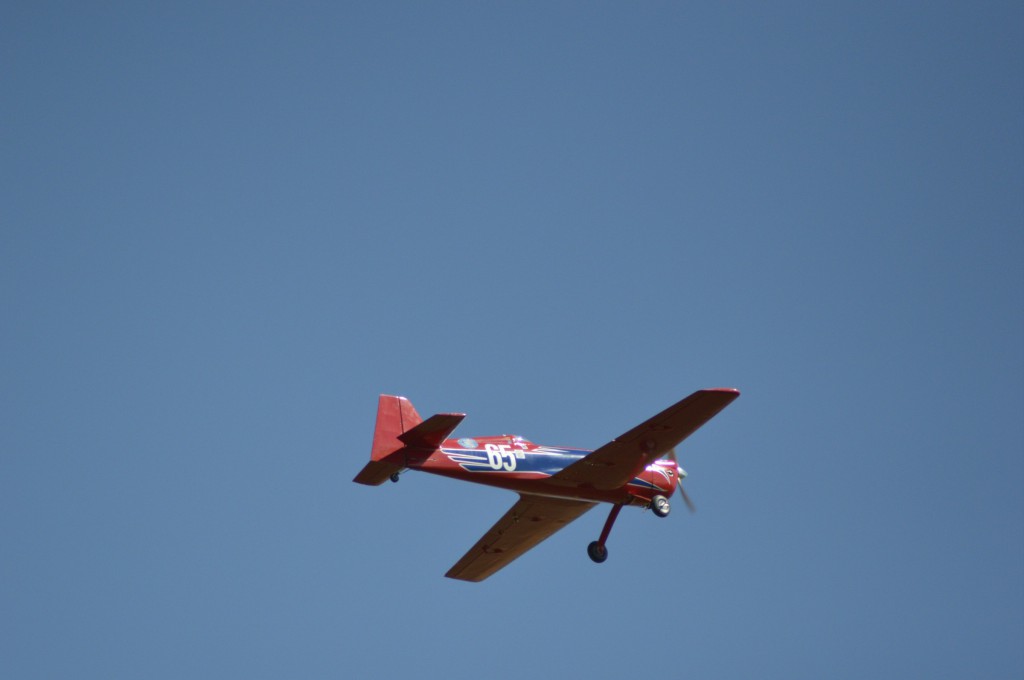 L'oiseau bleu de  Laurent Bardy