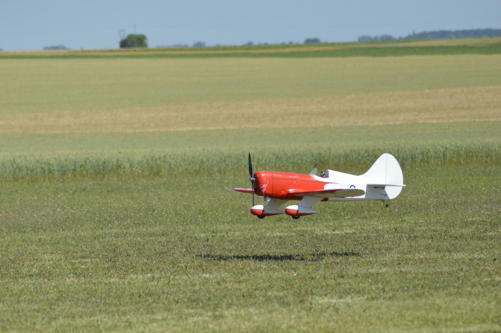 Dominique est de retour 