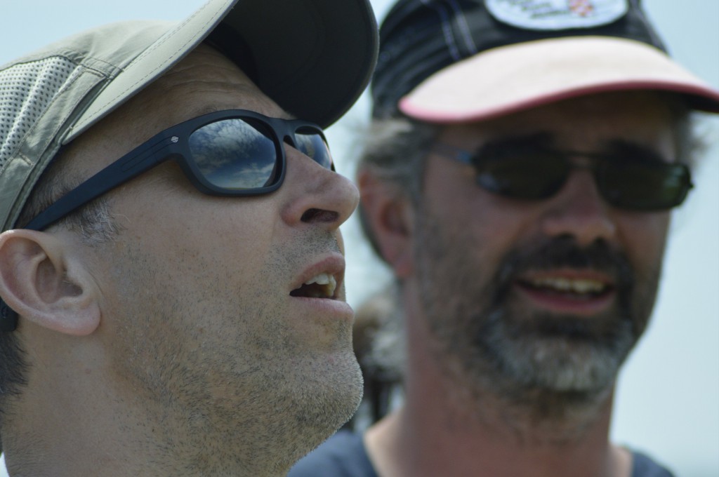 David gobe les mouches