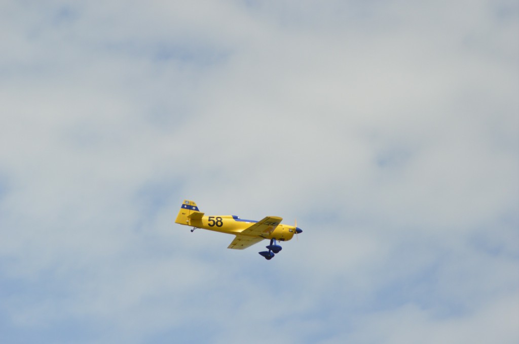  N°58 - Watelet en vol