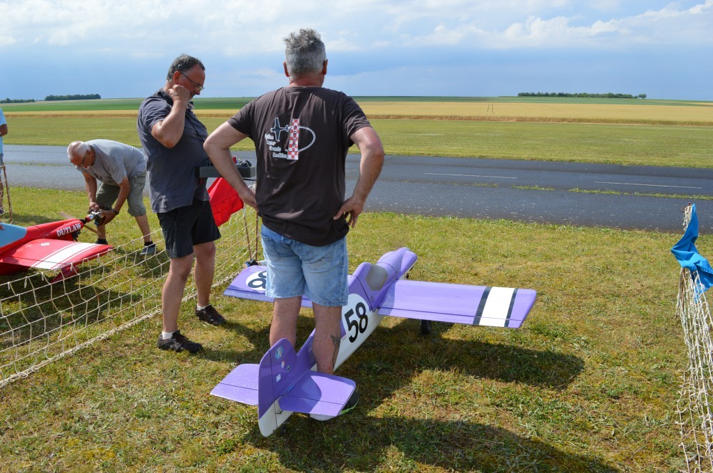 le Cassutt à la belle robe Violette de Gilles Watelet