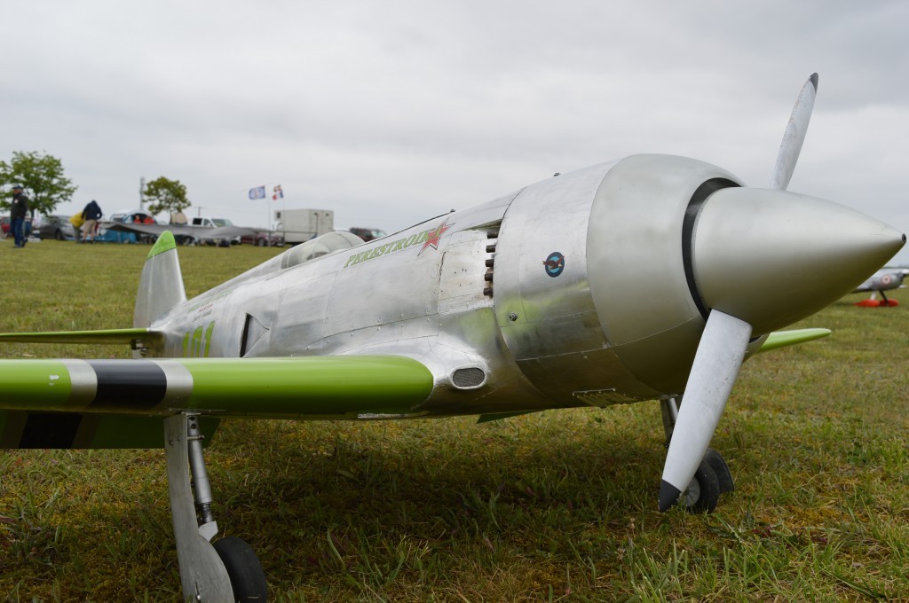 le Magnifique Yak de Guillaume Bernon