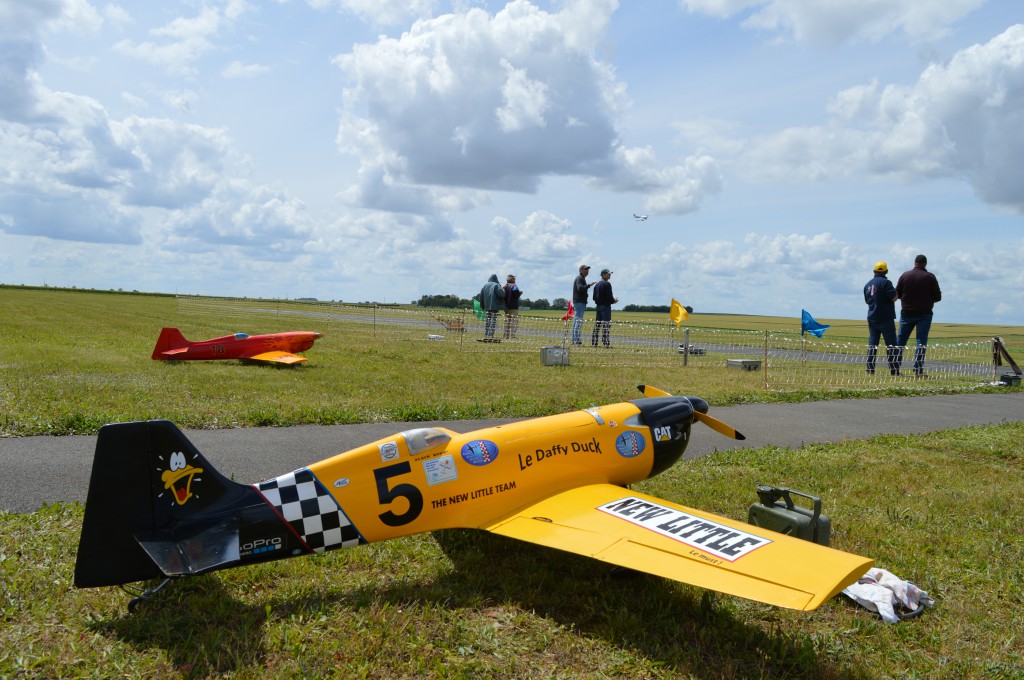 Daffy Duck  N°5 d'Alain Ronk