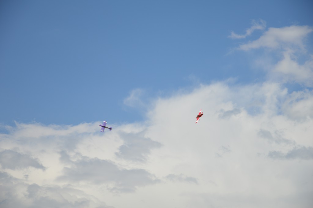 Bataille entre Cassutts