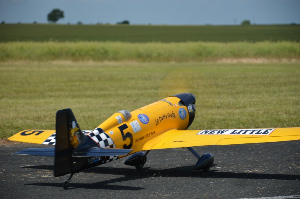 Point fixe avant le lacher de  l'oiseau