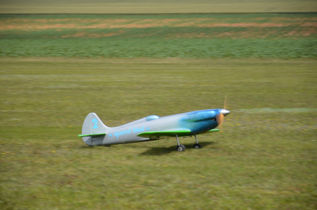 Posé du Little Perso de Patrick surnommé  