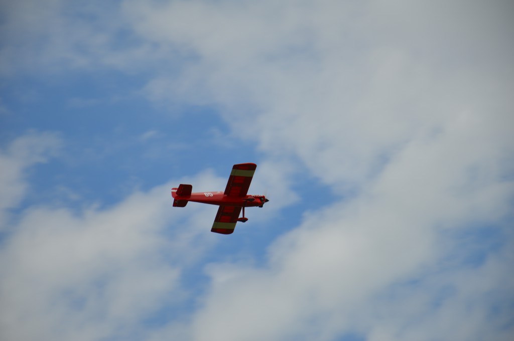 Le Cassutt de L .Bardy -  Version tout Bois 