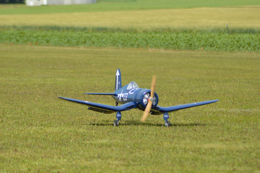 Posé du Corsair  F4U L'hélice passe au ras des paquerettes