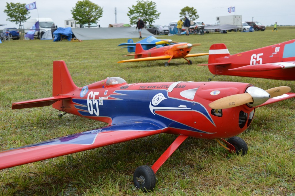 La corneille Bleue n'a pas dit sont dernier mot...