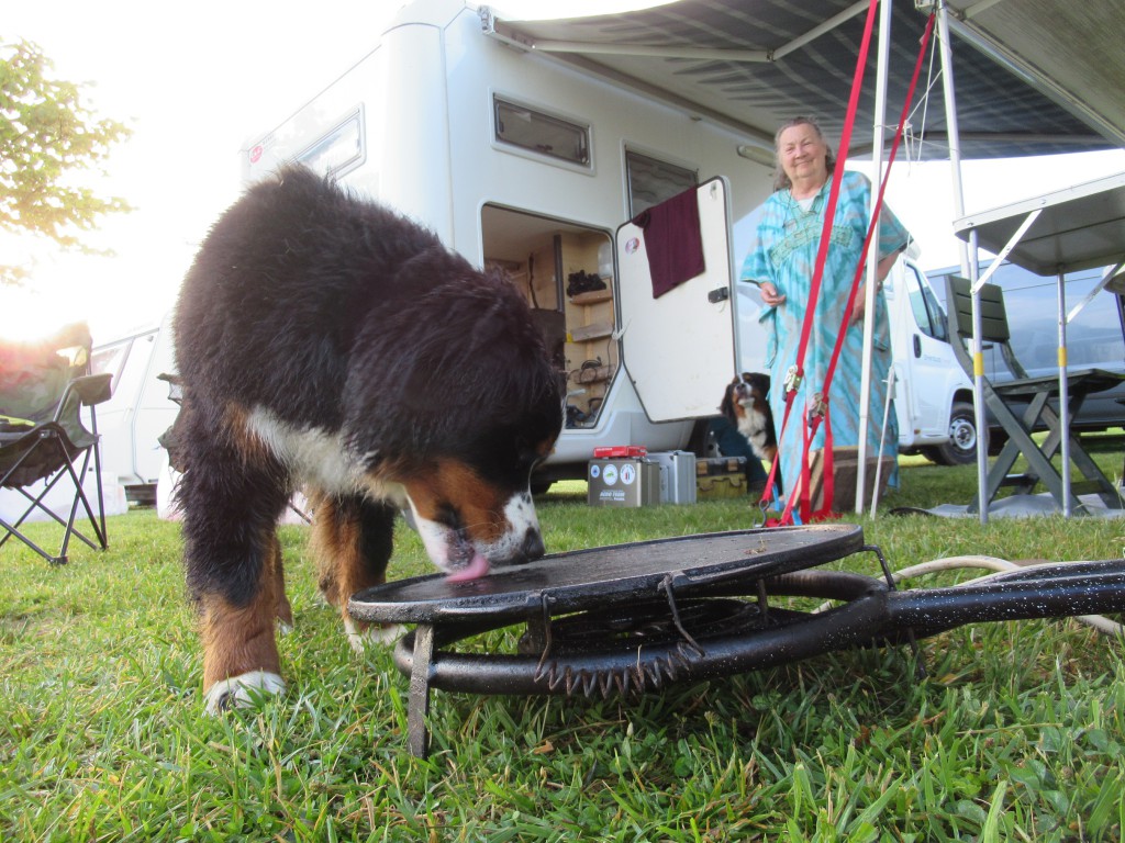 Une fois La plaque froide .. la machine a laver est en route