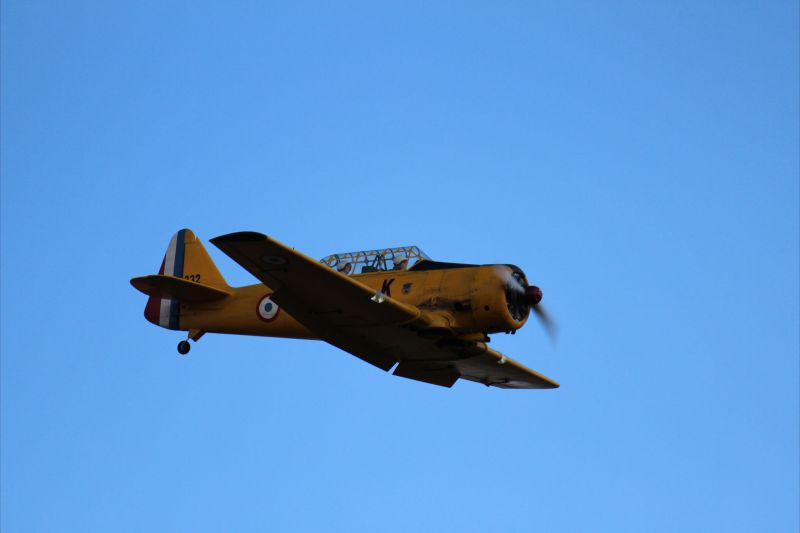 prgm-vimory-2012-118_0